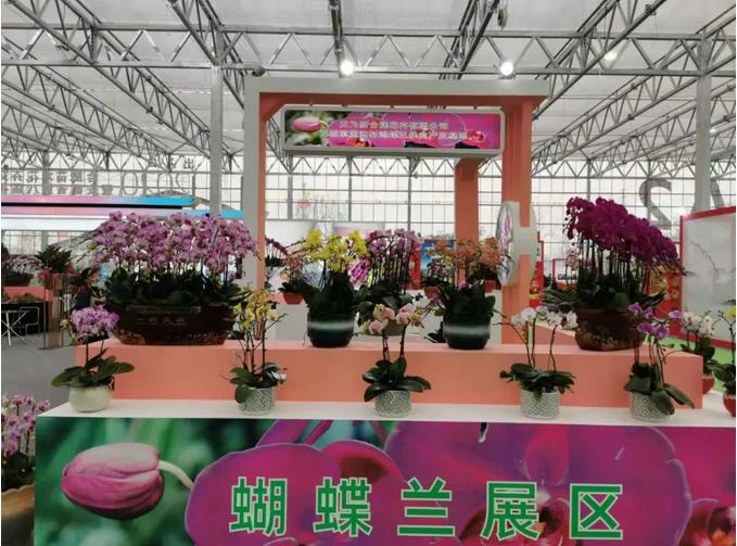  中国生态原产地联合体专家出席安徽花卉博览会(图4)